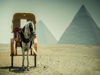 Picture of cairo Islamic Tour alexanderia, Saint Catherine Monastery and Taba