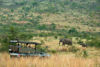Picture of South Africa